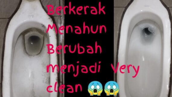 Cara Membersihkan Toilet Yang Sudah Berkerak (Menahun)