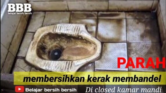 Bersih Bersih Kerak Membandel Pada Toilet