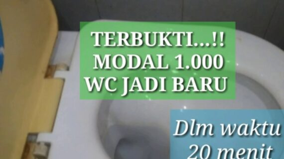 Cara Membersihkan Kloset Duduk Dengan Noda Membandel