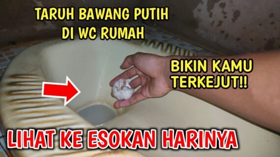 Taruh Bawang Putih Di WC Rumah, Lihat Apa Yg Akan Terjadi