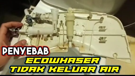 How To Fix A Toto Ecowhaser Closet That Can’T Get