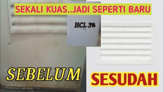 Tutorial Cara Membersihkan Kamar Mandi Sekali Kuas Lumut Rontok