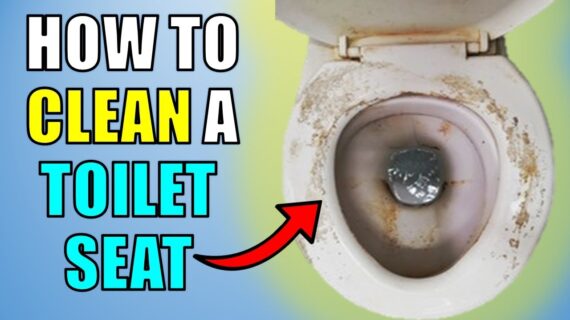 Cara Membersihkan Dudukan Toilet Dengan Mudah dan Alami
