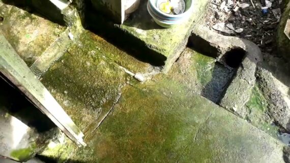 Membersihkan Lumut Lantai Kamar Mandi Dengan Citrun