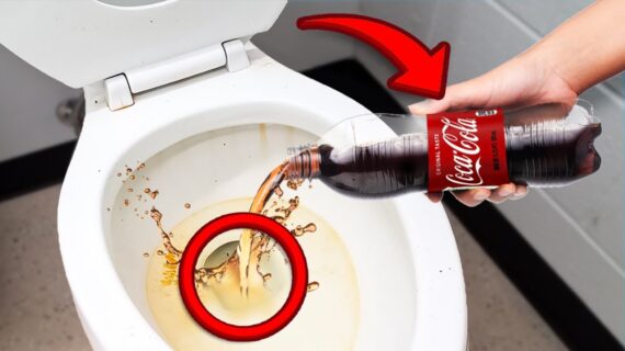 Dump Coke Di Toilet Anda Dan Tonton Apa yang Terjadi