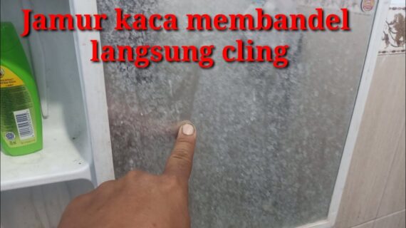 Wow..Cara Mudah Membersihkan Jamur Kaca