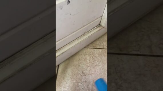 Kehebatan Citrun Dan Vanish Bersatu #Shorts #Penghilang Kerak