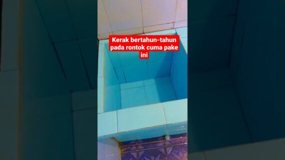 Pembersih Kamar Mandi Terbaik Paling Ampuh