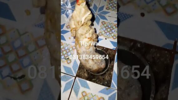 Kloset Duduk Mampet Karena Sering Buang Tisu Basah