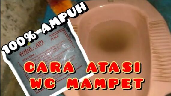 Cara Mengatasi Wc Mampet Di Jamin Berhasil 100%, Tanpa Sedot