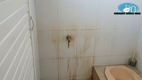 How To Clean Bathroom Floor Tiles With Harpic