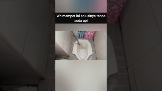 Wc Mampetini Solusinya Cara Mengatasinya Wc Mampet! #Shorts