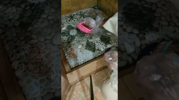 Lantai Kamar Mandi Licin Coba Pakai Cara Ini Ampuh Shorts