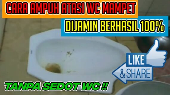 Cara Ampuh Atasi Wc Mampet Dijamin Berhasil 100%  Tanpa Bongkar