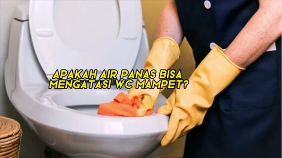Apakah Sunlight Bisa Mengatasi WC Mampet?