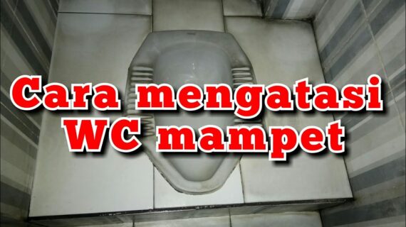 Cara Mengatasi Wc Mampet, Mars Wawe