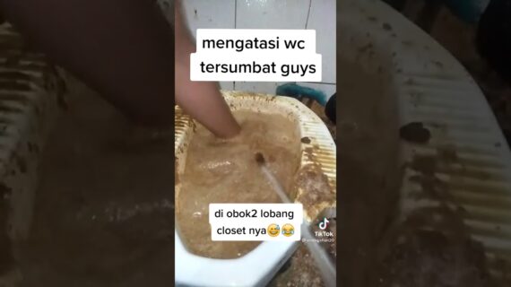 Cara Atasi WC mampet #shorts