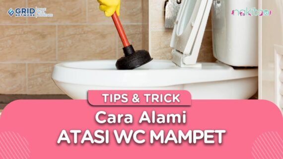 Cara Alami Atasi WC Mampet, Bisa Pakai Garam