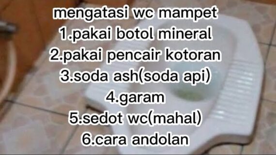 Cara Cepat Mengatasi WC Mampet, Baru Tau Sekarang