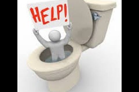 Cara Mudah mengatasi WC Mampet