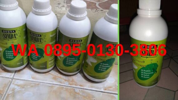 Cara Mengatasi WC Mampet Tanpa Bongkar Dengan Cepat Dan Mudah