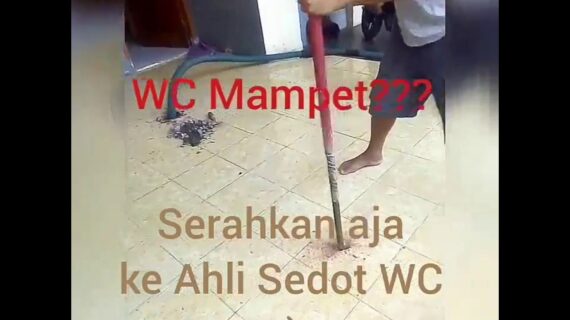 Cara mengatasi WC Mampet