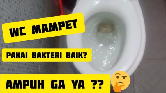 Cara Mengatasi Wc Mampet // Ampuh ??