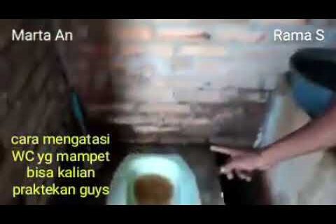 Kepiting Solusi Mengatasi WC Mampet