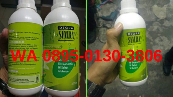 Distributor Obat WC Mampet Paling Ampuh WA 089501303806