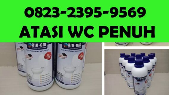 Harga Formula Obat Solusi Penguras WC Mampet Septiptank Penuh Tanpa