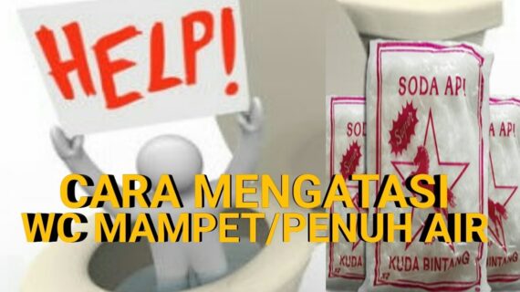 Tutorial Cara Mengatasi WC Mampet