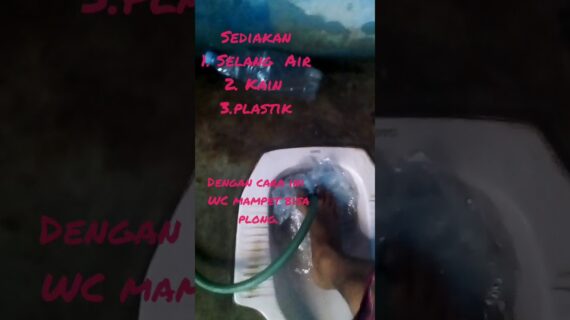 cara jitu Untuk WC mampet