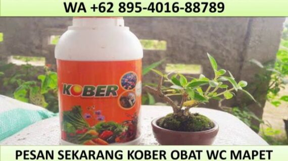 0895 4016 88789 WA Agen Jual Cairan WC Mampet