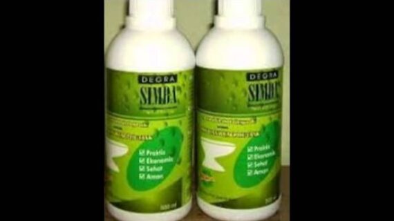 081262962594 | Degra Simba Medan