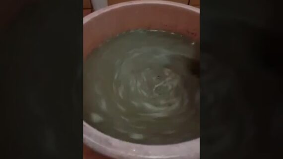 TANPA SEDOT ‼️ Cara Solusi Mengatasi WC Mampet