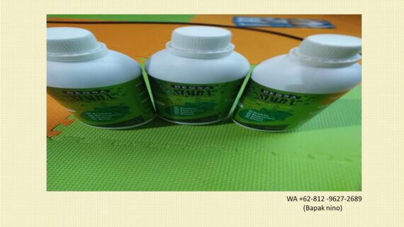 SEHAT WA +62 812 9627 2689 mengatasi wc mampet jakarta