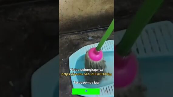 Cara Mengatasi WC Jongkok Tersumbat