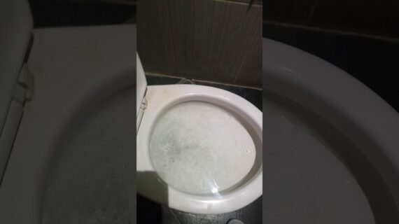 Tutorial mengatasi toilet