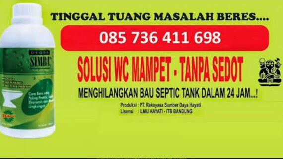 Mengatasi WC Mampet tanpa sedot