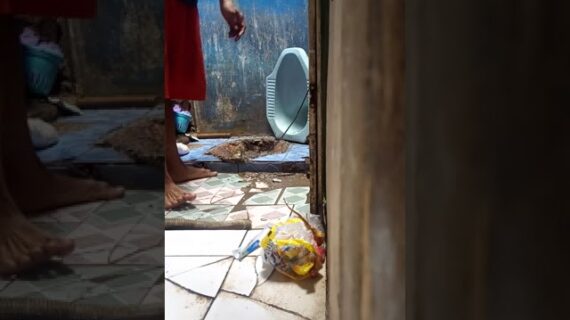 Cara mengatasi WC yang mampet parah