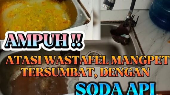 ATASI WASTAFEL CUCI PIRING MANGPET
