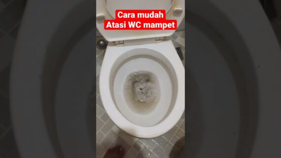 Atasi WC mampet dengan Soda Api #wcmampet #viral #info