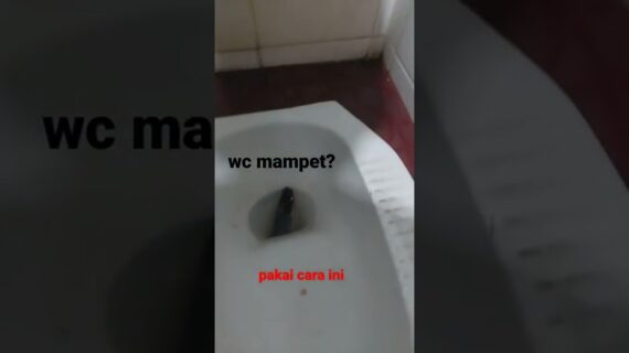 Cara Tepat Atasi Wc Mampet #shorts