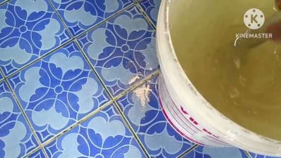 mengatasi wc mampet tanpa panggil jasa sedot wc