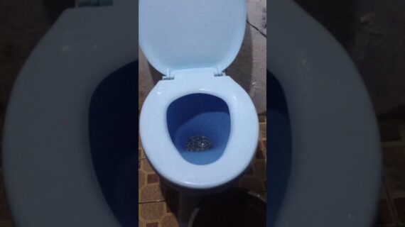 obat anti sumbat..!!! harga 25 ribuan..!!! wc mampet langsung lancar..!!!