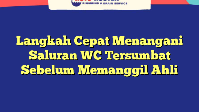 Langkah Cepat Menangani Saluran WC Tersumbat Sebelum Memanggil Ahli