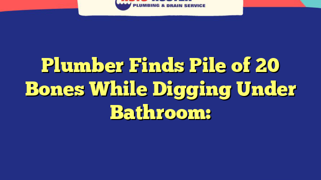 Plumber Finds Pile of 20 Bones While Digging Under Bathroom: